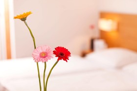 Pension Golingen