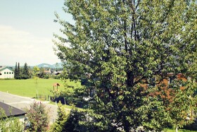 Gasthof Fuerstenbrunn