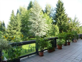 Berghof Graml