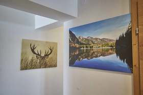 Glemm Lodge Apartments