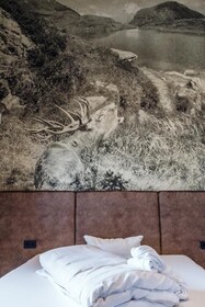 Thomsn Central Hotel & Appartements