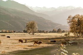 Amelies Mountain Views by we rent