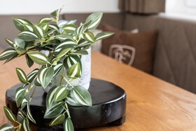 Avenida Panorama Suites Kaprun