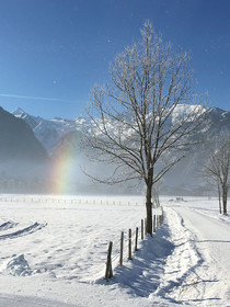 Dorfchalets Kaprun