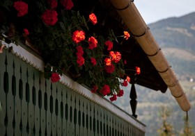 Gasthof Mitteregger