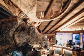 Margarethenstein Boutique Hotel & Apartment