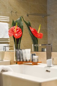 TAUERN SPA Zell am See - Kaprun
