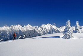 Bergnest - Frühstückspension Katschberg