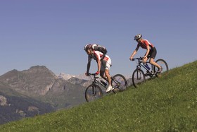 Ferienhaus Peterlhaus