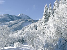 Wellness Aparthotel Montana