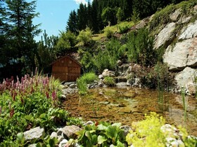 Wellness Aparthotel Montana