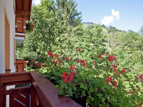 Wellness Aparthotel Montana