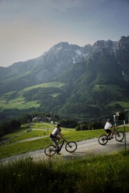 Holzhotel Forsthofalm