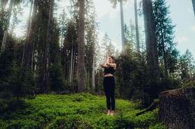 Holzhotel Forsthofalm