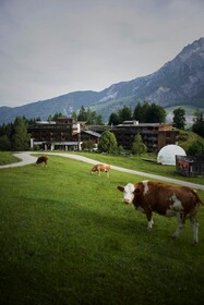 Holzhotel Forsthofalm