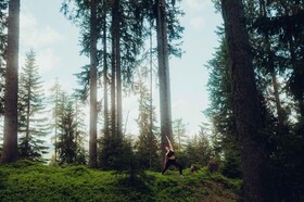 Holzhotel Forsthofalm