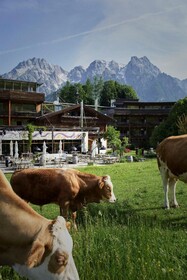 Holzhotel Forsthofalm