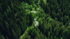 Holzhotel Forsthofalm