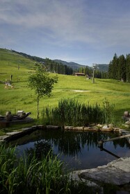 Holzhotel Forsthofalm