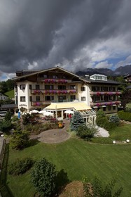 Edelweiß