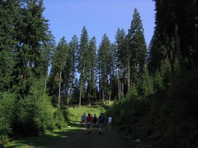 Steffner-Wallner Skihotel & Wanderhotel