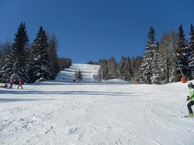 Steffner-Wallner Skihotel & Wanderhotel
