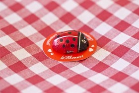 Alphotel Mittersill
