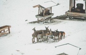 Hotel Schloss Mittersill