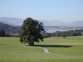 Ferienhotel Herzog