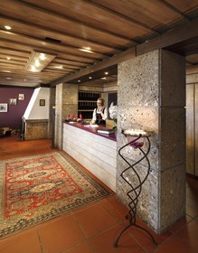 Hotel Alpina