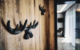 Chalet Amadeus - Zell am See - Piesendorf