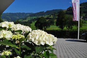 Haus Piesendorf