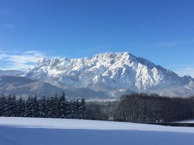 Gasthof Pension David