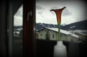 Haus Susanne