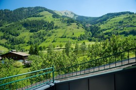 Alpina