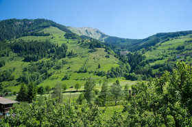 Alpina
