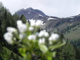 Hotel Garni Wieshof