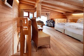 ART & SKI-IN HOTEL Hinterhag