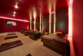 Hotel Alpine Palace
