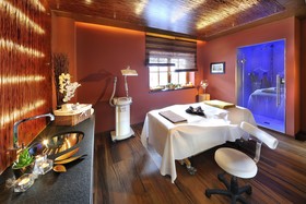 Hotel Alpine Palace