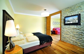 Hotel Alpine Palace