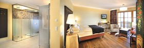 Hotel Alpine Palace