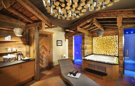 Hotel Alpine Palace