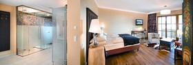 Hotel Alpine Palace