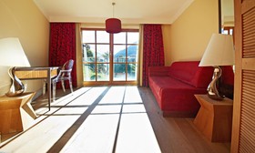 Hotel Alpine Palace