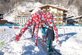 Hotel Alpine Palace