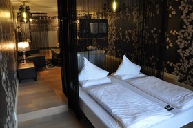 Hotel Alpine Palace