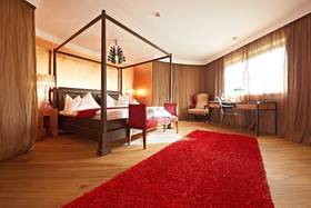 Hotel Alpine Palace