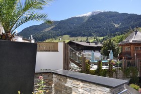Hotel Alpine Palace