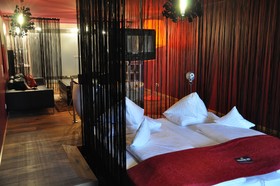 Hotel Alpine Palace